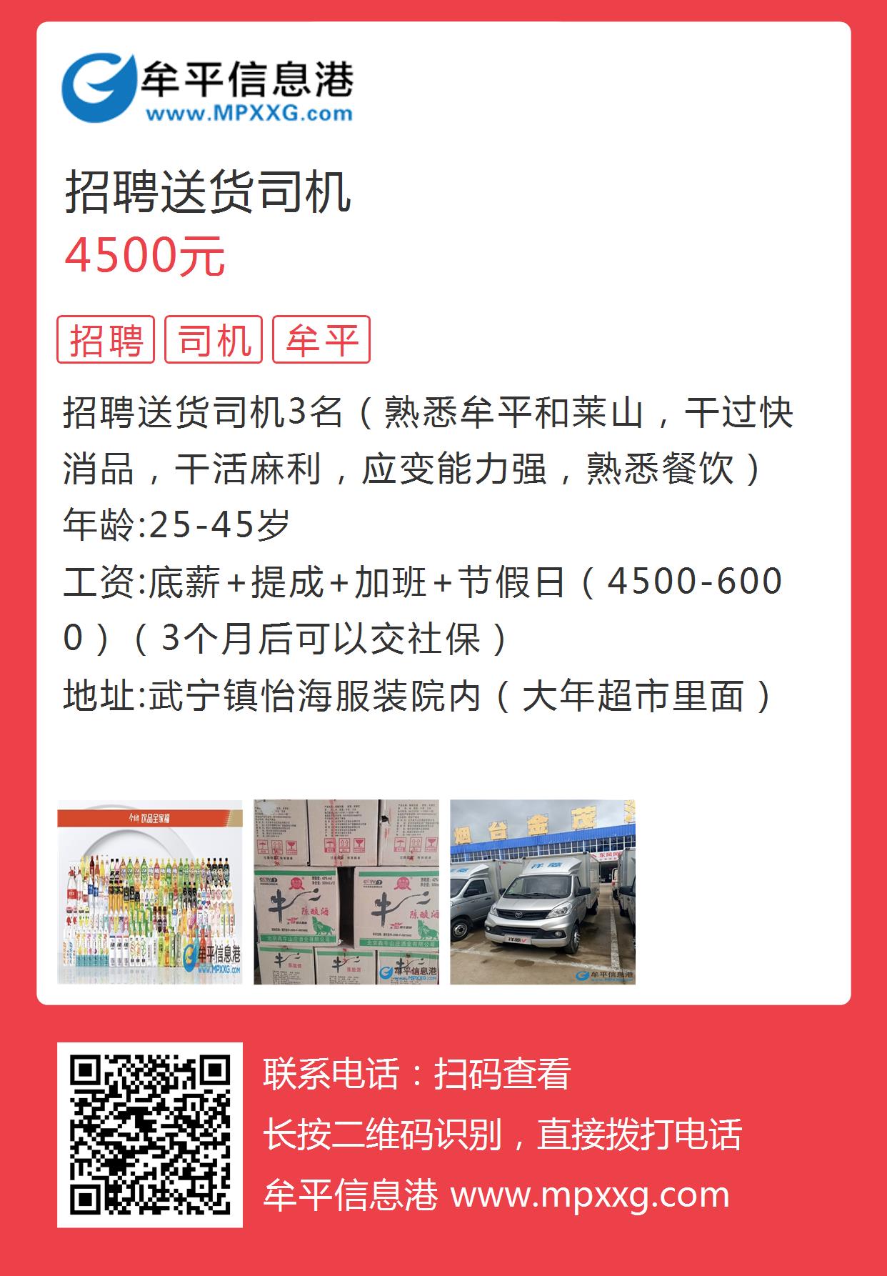 东平司机最新招聘，职业发展与机遇等你来探寻